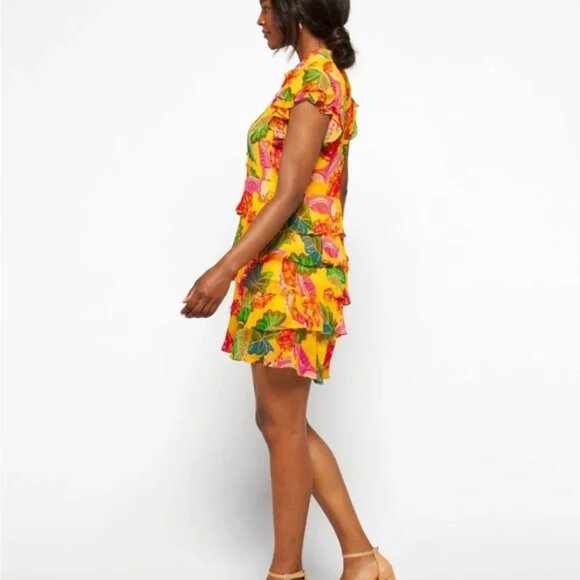 Farm Rio Yellow Beaks and Banana Tiered Ruffle Dress - Picture 11 of 12